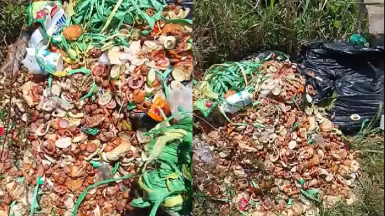 Viral Video Sampah Diduga Limbah MBG Dibuang Sembarangan, DPRD Sukabumi Minta Penelusuran Mendalam