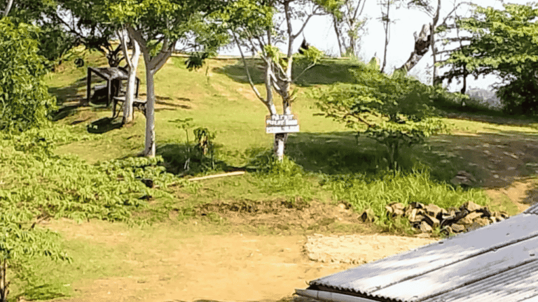 Wisata Puncak Aher Sukabumi Diduga Jadi Lahan Pungli, Legalitas dan Pengelolaan Disorot