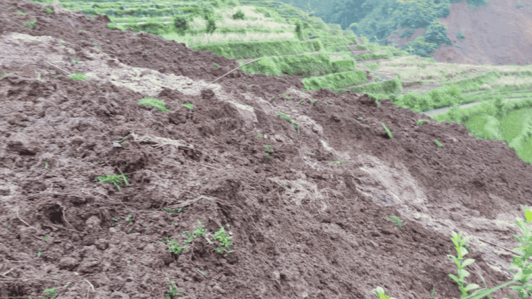 Irigasi Jebol Picu Longsor di Kabandungan Sukabumi, 1 Hektare Sawah Tertimbun dan Jalan Desa Lumpuh Total