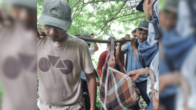 Tersesat di Hutan, Petani Cibitung Sukabumi Ditemukan Selamat Setelah Hilang 3 Hari
