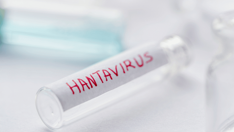 Mengenal Hantavirus, “Virus Tikus” yang Kini Sedang Ramai Dibahas