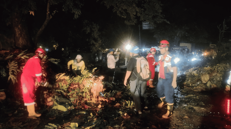 Hujan Deras dan Angin Kencang Robohkan Pohon Besar di Cikakak Sukabumi, Jalur Nasional Menuju Banten Sempat Lumpuh
