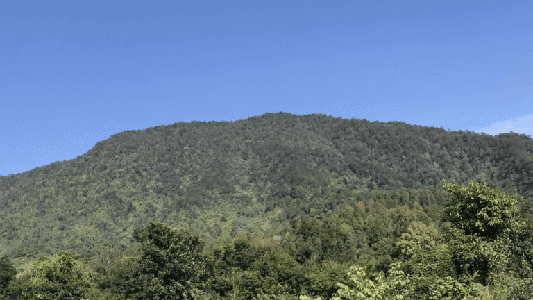 Daftar Gunung Favorit Pendaki di Jawa Barat dan Daya Tariknya
