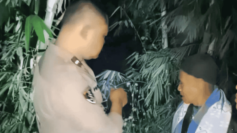 Sempat Hilang Setelah Lari ke Jurang, Pria di Sukabumi Ditemukan Pingsan Keesokan Harinya