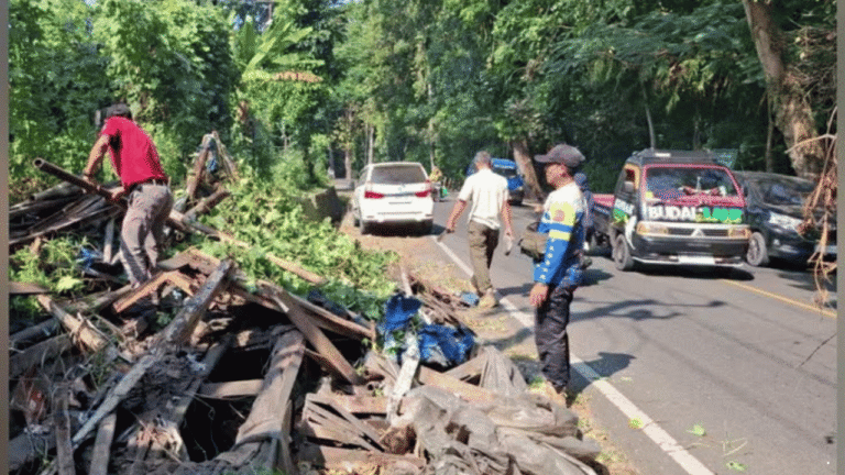 Petugas Gabungan Tertibkan Bangunan Liar di Batu Sapi Palabuhanratu, Dukung Penataan Kawasan