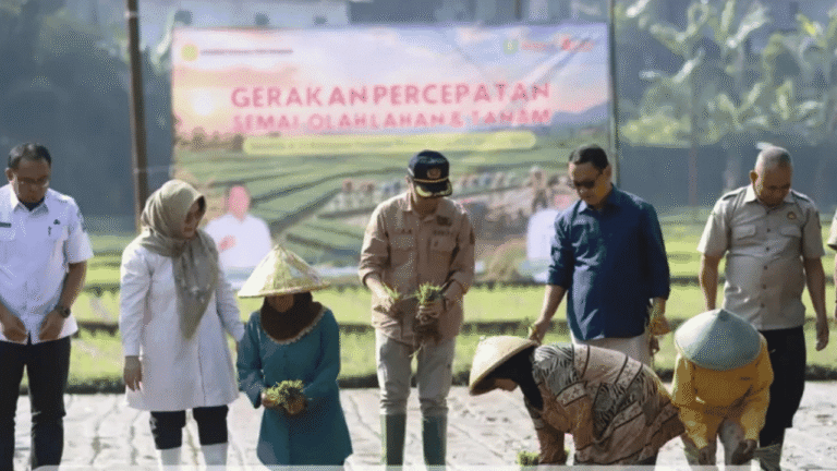 Perkuat Swasembada Pangan Berkelanjutan, Pemkab Sukabumi Genjot Percepatan Tanam Padi