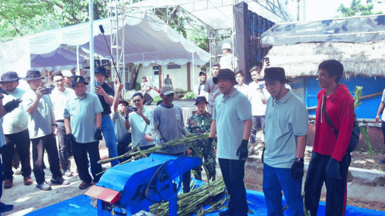 Wabup Sukabumi Hadiri Panen Raya Sorgum di Ciemas, Dorong Kesejahteraan Petani dan Transisi Energi