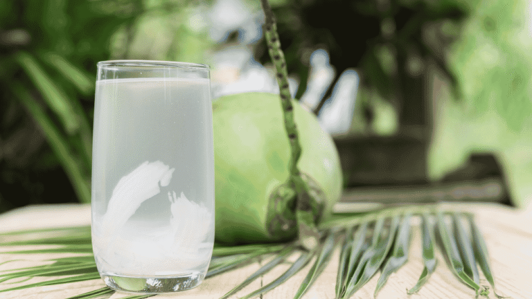 Haus dan Gerah Saat Musim Kemarau? Coba Minuman Ini agar Tubuh Lebih Segar