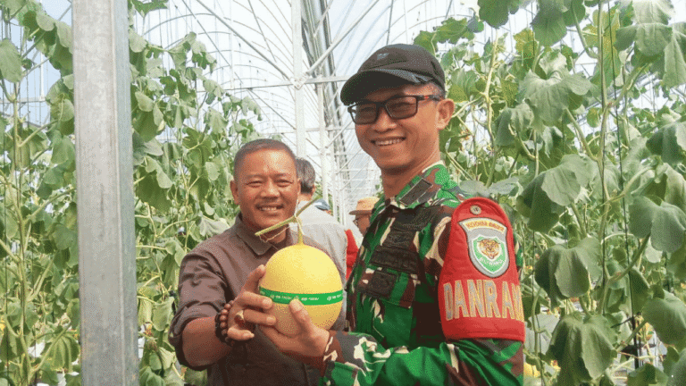 Destinasi Wisata Petik Melon Hadir di Cisolok Sukabumi, Dorong Pertanian dan Pariwisata Terintegrasi