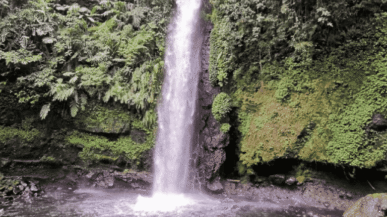Curug Sawer Situ Gunung Sukabumi, Wisata Air Terjun dengan Nuansa Alam yang Masih Asri