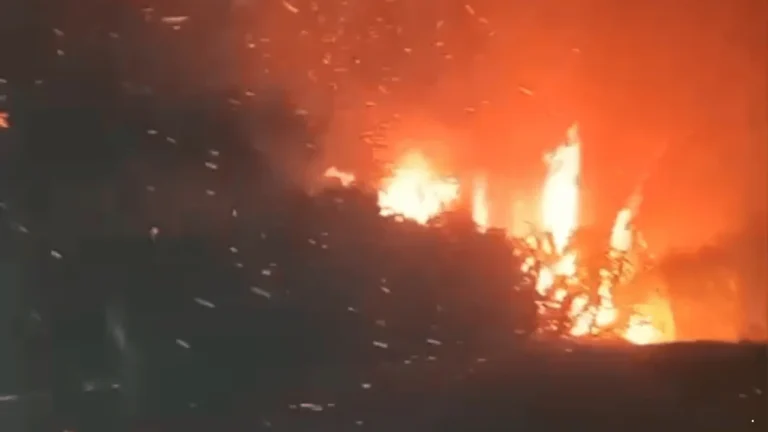Musim Kemarau Picu 21 Karhutla dalam Sebulan di Sukabumi, Lahan Terbakar Capai 30 Hektare
