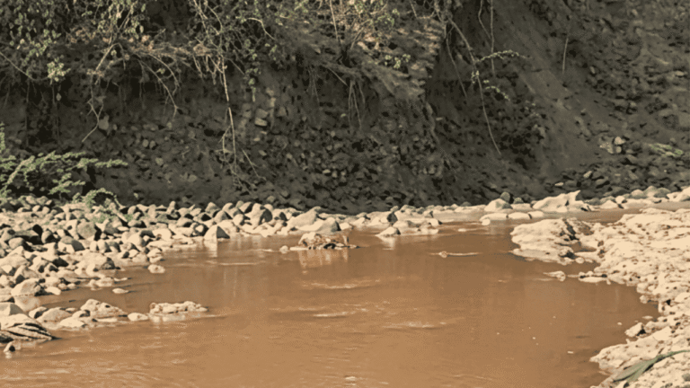 Warga Simpenan Sukabumi Keluhkan Sungai Kini Keruh, Soroti Dugaan Dampak Tambang Liar