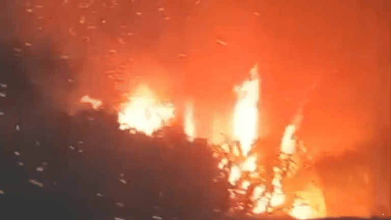 Diduga Berawal dari Pembakaran Lahan, Alang-alang di Sukatani Sukabumi Terbakar