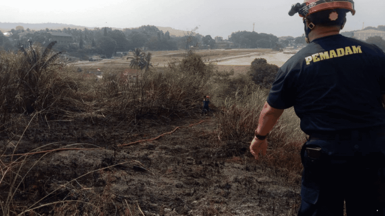 Api Lahap Lahan Alang-alang di Ciracap, Damkar Sukabumi Turun Tangan