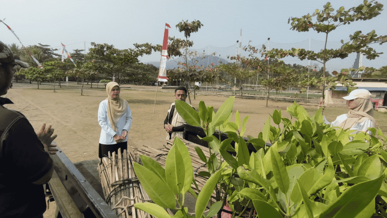 PENYU Dapat 300 Bibit Mangrove, Penanaman Disiapkan di Sejumlah Titik Palabuhanratu