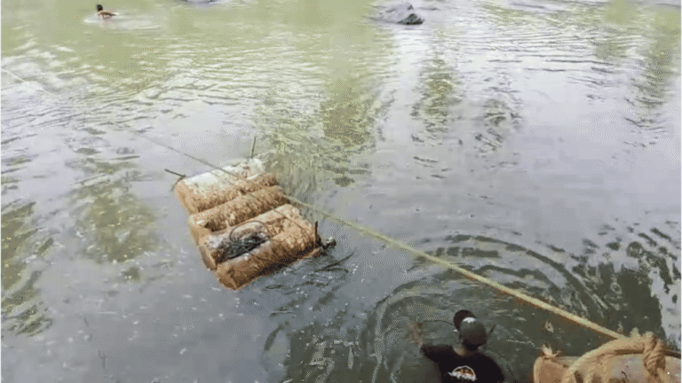 Akses Warga Mulai Pulih, 14 Jembatan Terdampak Bencana di Sukabumi Sudah Diperbaiki
