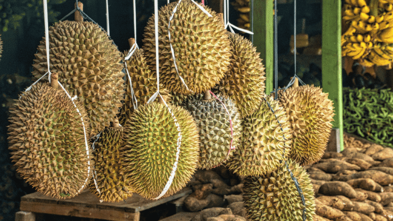 Musim Panen Durian di Sukabumi, Kenali 5 Manfaat Buah Berduri Ini bagi Tubuh