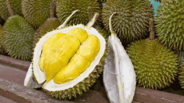 Pecinta Durian Wajib Tahu, Ini Efek Samping yang Bisa Muncul Jika Dikonsumsi Secara Berlebihan