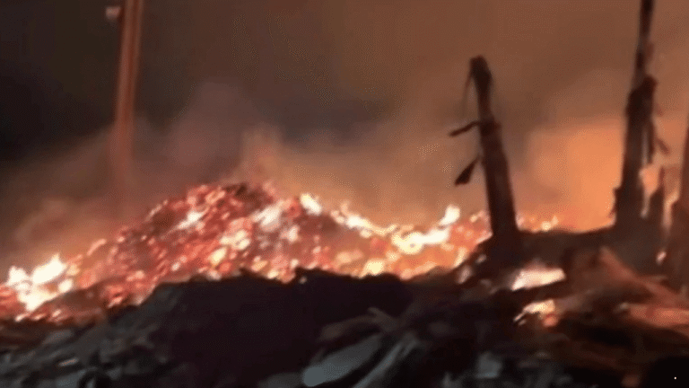 Limbah Kayu Veneer Terbakar di Cikembar Sukabumi, Petugas Sekat Api Agar Tak Capai Pabrik dan Rumah Warga