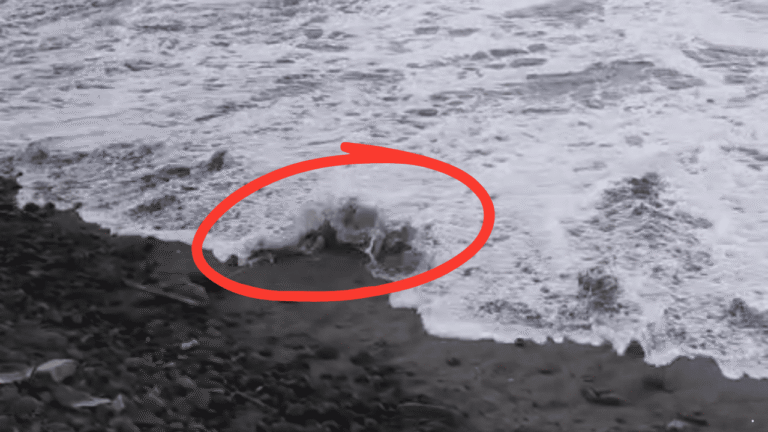 Mayat Perempuan di Pantai Karanghawu Belum Teridentifikasi, Tato dan Batu Akik Jadi Petunjuk