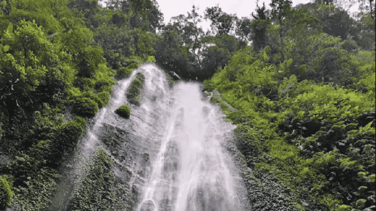 Pesona Curug Cibeureum Sukabumi, Air Terjun yang Tersembunyi di Hutan Pegunungan