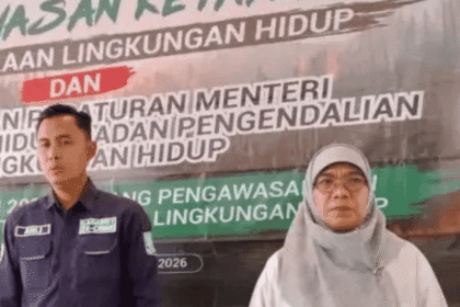 Pemerintahan