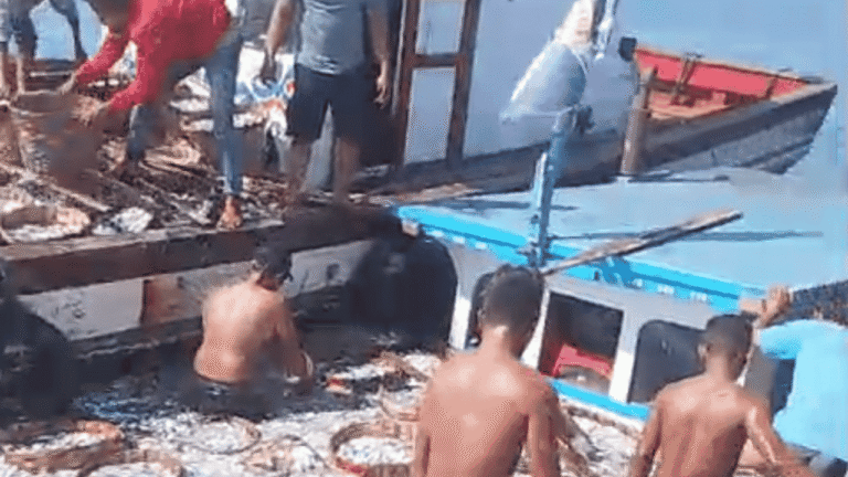 KM SS 1 Nyaris Karam di Perairan Palabuhanratu Sukabumi, Lambung Bocor dan Muatan Ikan Disebut Overload
