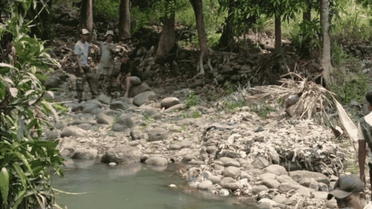 Irigasi Citepus Bocor, Puluhan Hektare Sawah Petani Palabuhanratu Sukabumi Krisis Air