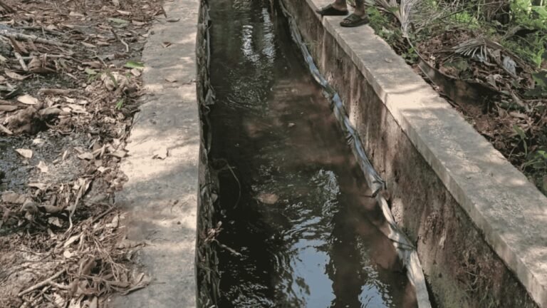 Dikeluhkan Petani, Dinas PU Sukabumi Survei Saluran Irigasi Citepus yang Bocor